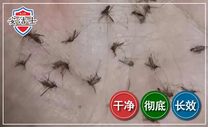 慈溪蚊子防治-灭蚊