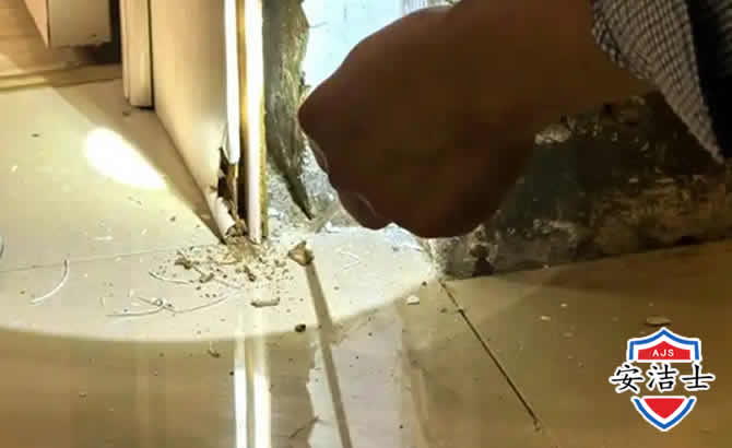 慈溪房屋建筑防治白蚁