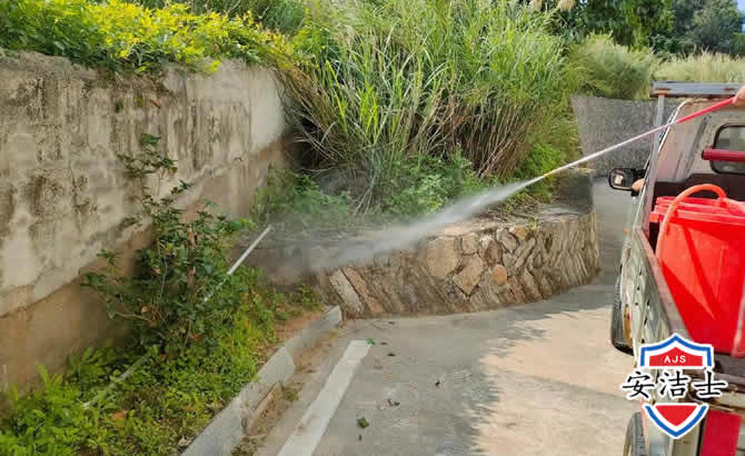 慈溪道路堤坝白蚁防治