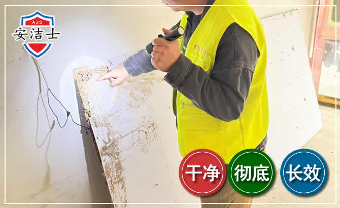 慈溪除白蚁现场